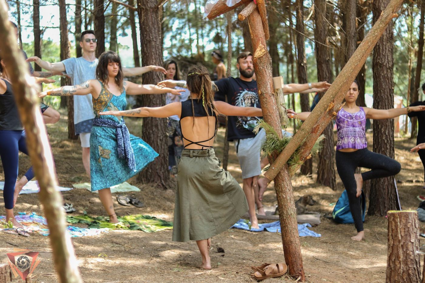 Um grupo praticando yoga ao ar livre entre pinheiros